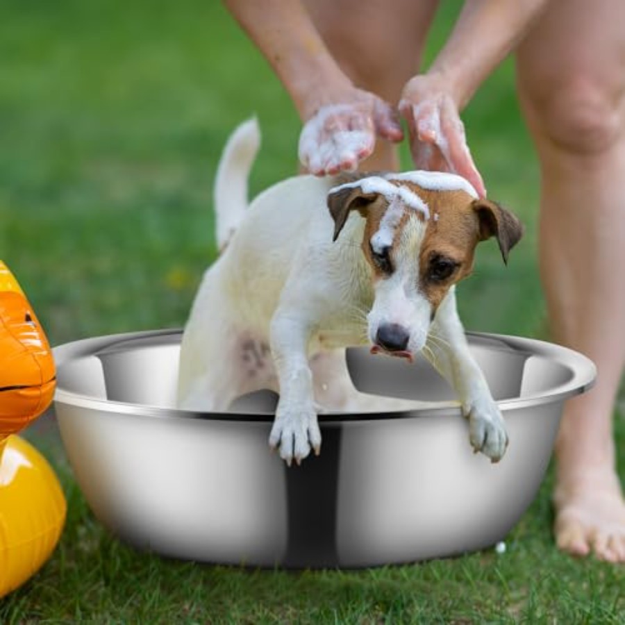 Large Mixing Bowl for Home Coo - đánh giá và giá Home Cooking Usa